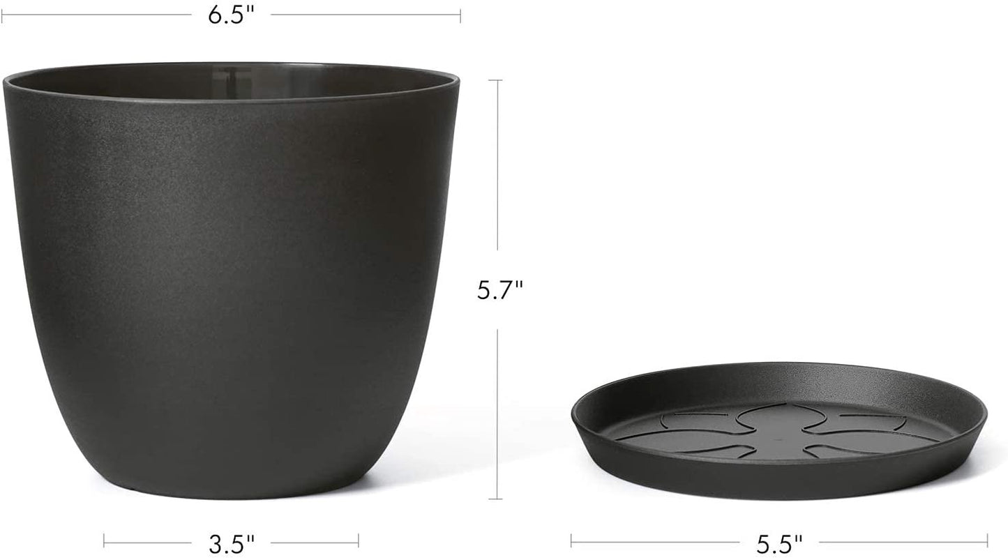 It's a whole lotta plants 6.5" Planter