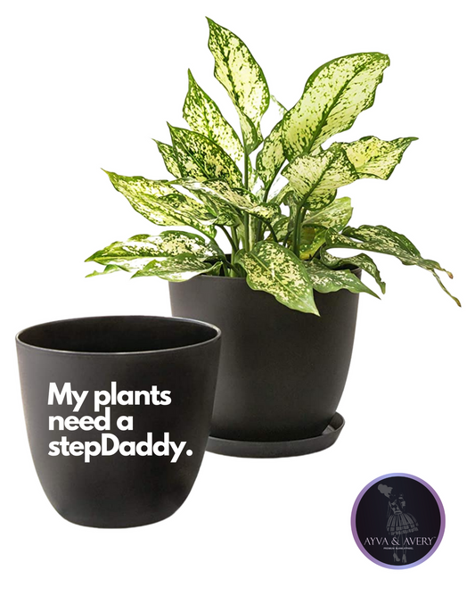 My Plants need a step daddy 6.5" Planter