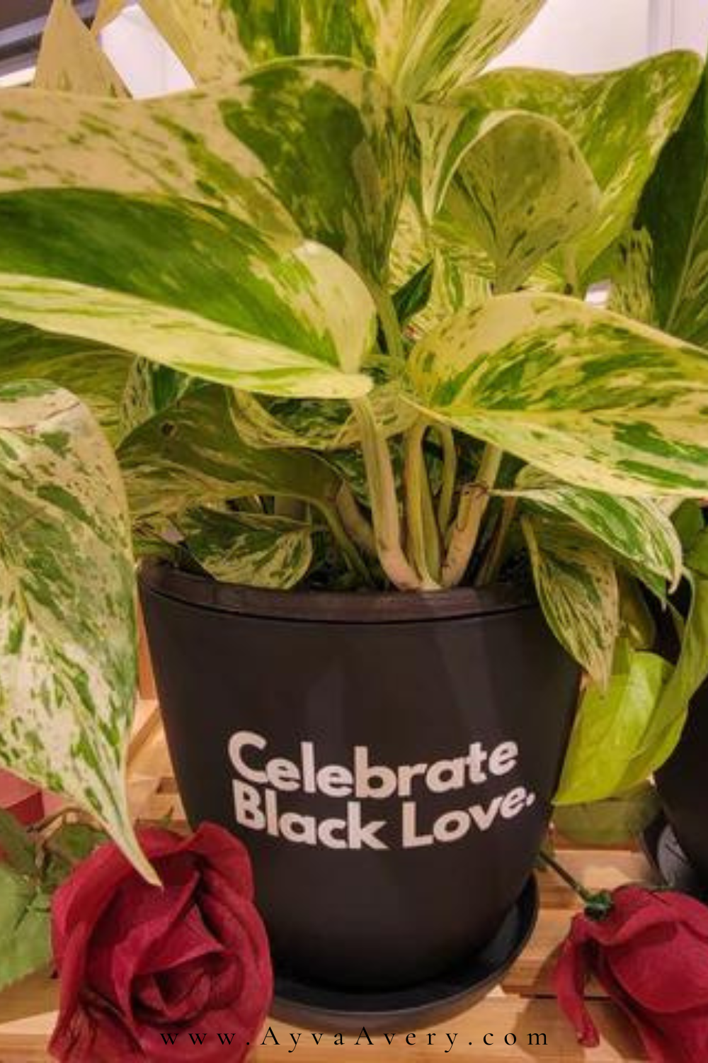 6 Valentine's day gifts for Black Plant Moms