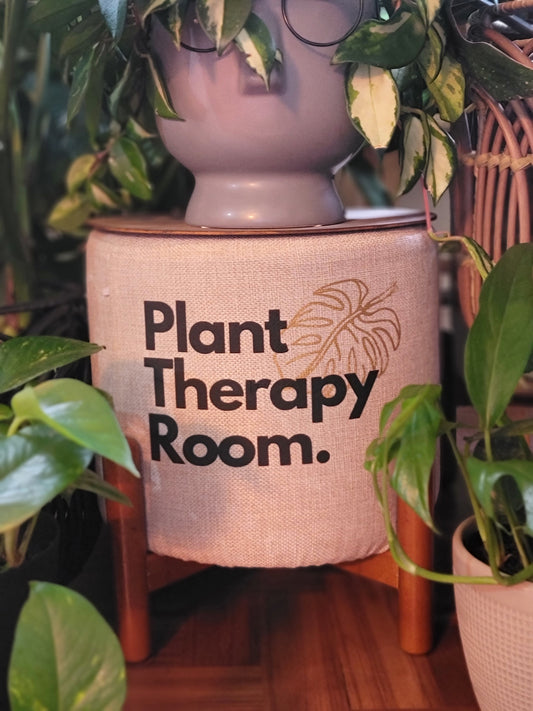 Plant Therapy Room Plant Stool