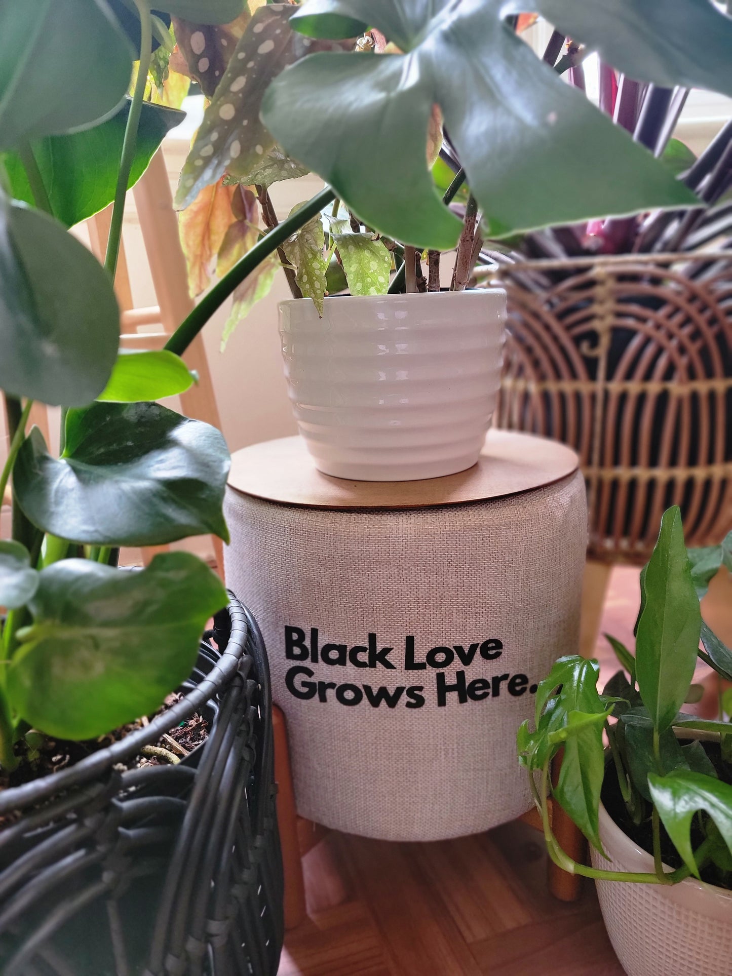 Black Love grows here  Plant Stool
