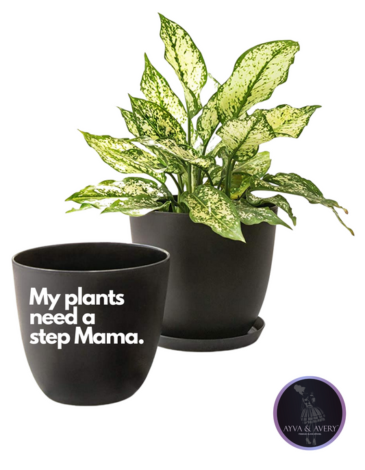 My Plants need a step mama 6.5" Planter