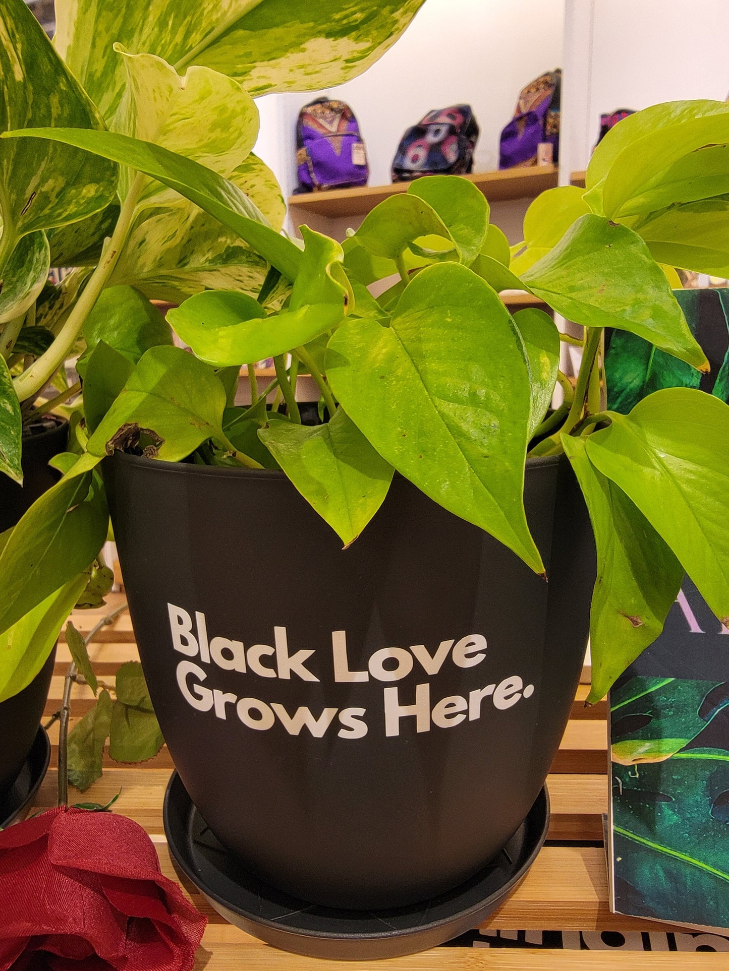 Black love grows here planter